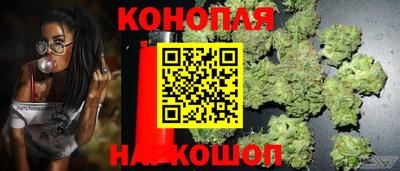 сатива Комсомольск-на-Амуре