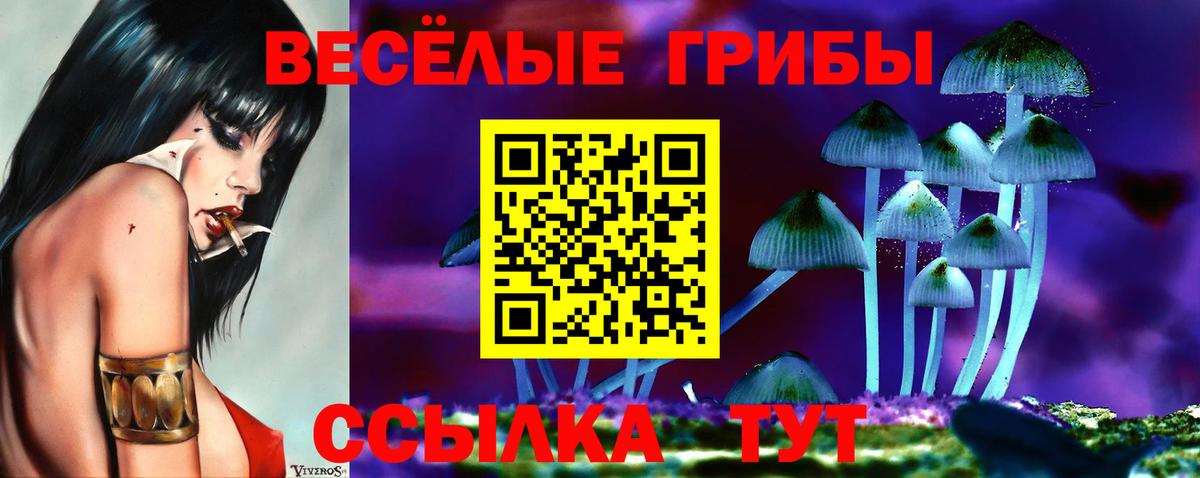 Псилоцибиновые грибы прущие грибы  Вход с VPN  Чусовой 