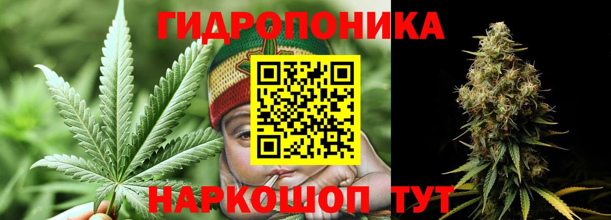 Бошки марихуана VHQ  Марихуана семена  Чусовой  Марихуана ГИДРОПОН  Вход с VPN 